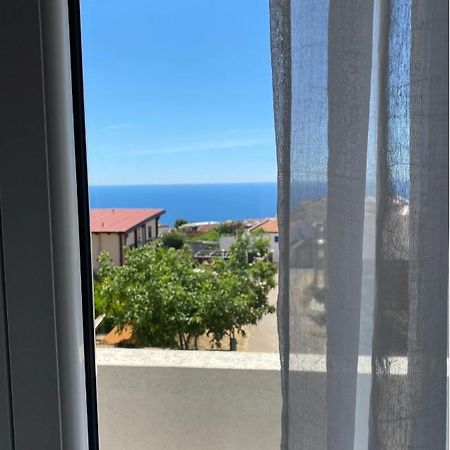 Apartments Wild Beauty - Krimovica Budva Exteriér fotografie
